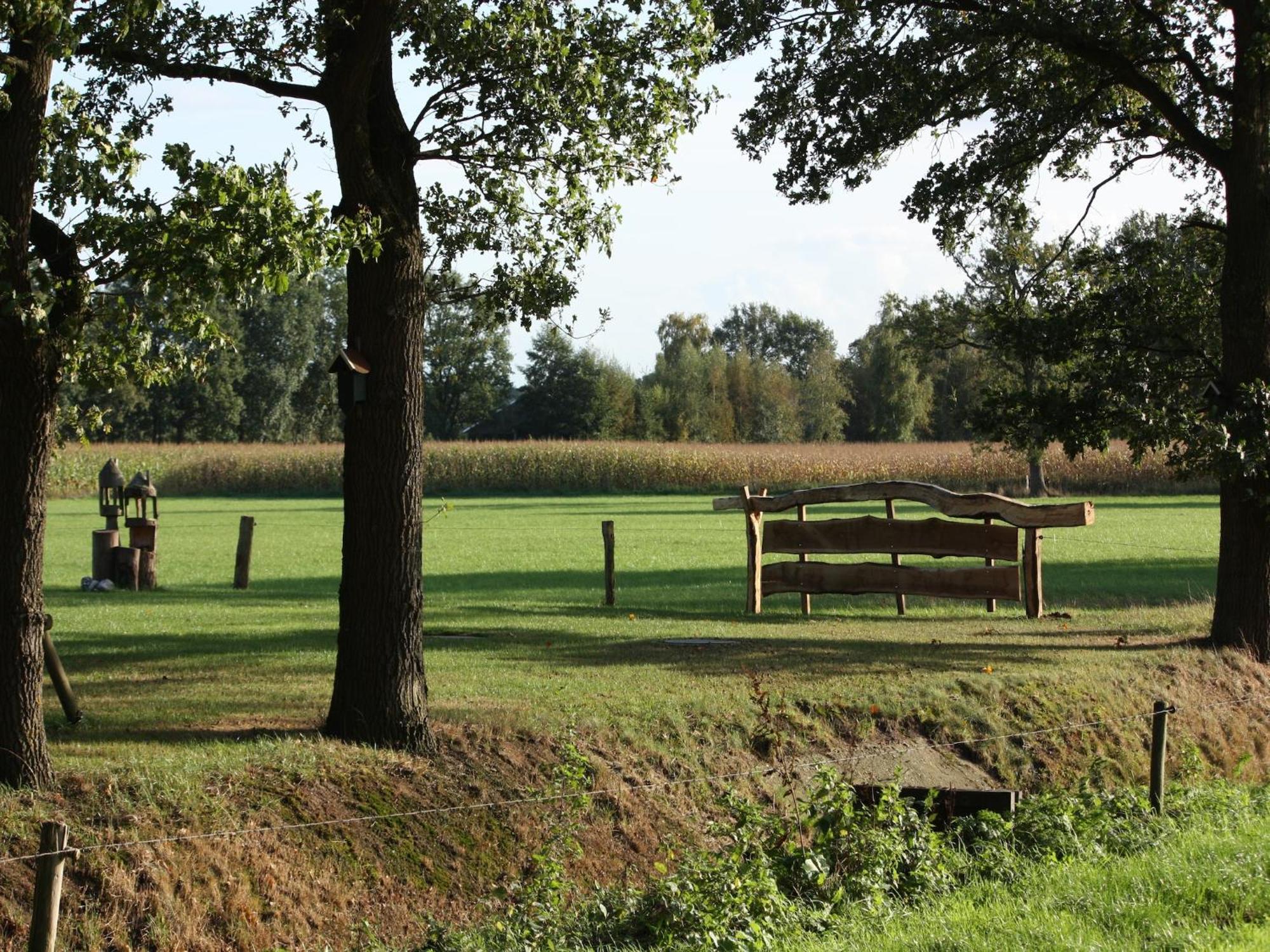 Tasteful Chalet Near Ommen For Family Stegeren Zewnętrze zdjęcie